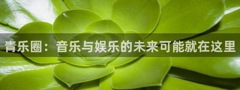 富联娱乐：青乐圈：音乐与娱乐的未来可能就在这里