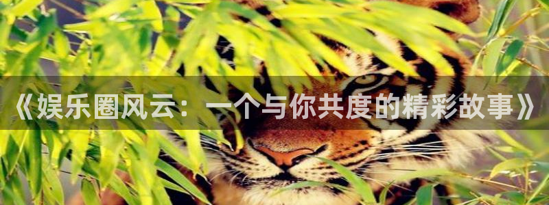 富联娱乐：《娱乐圈风云：一个与你共度的精彩故事》