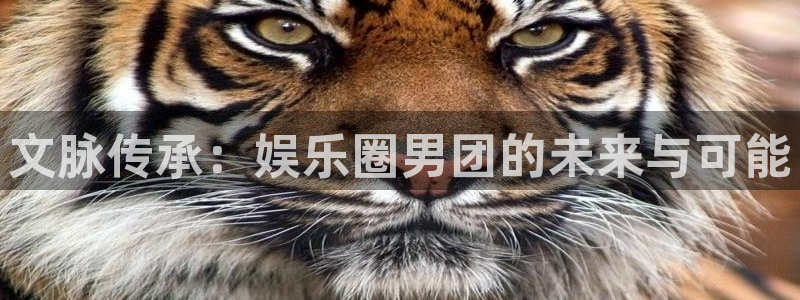 富联娱乐：文脉传承：娱乐圈男团的未来与可能